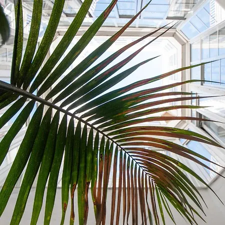 Apartamento Ooh La Lá