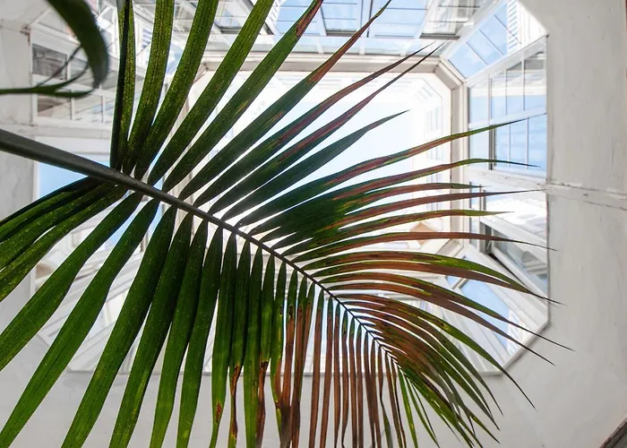 Apartamento Ooh La Lá